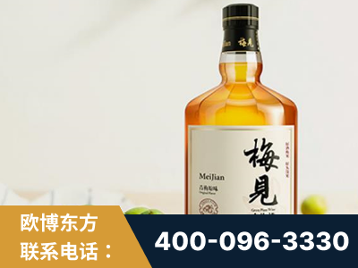 遵化-梅见青梅酒